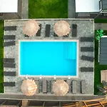 Royal Palm