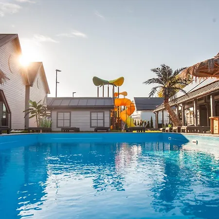 Royal Palm Semesterbostad *