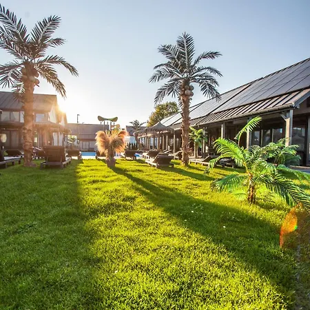 Royal Palm *